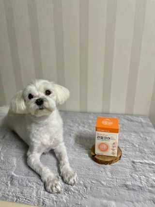 달콩리치님이 올린 리뷰 사진 1