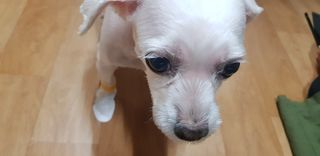 초아찡님이 올린 리뷰 사진 4