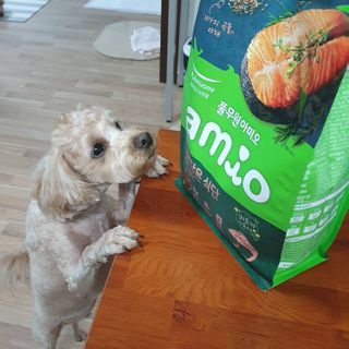 기린짱맘님이 올린 리뷰 사진 2