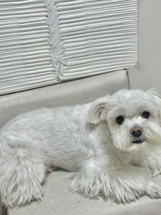 황순희님이 올린 리뷰 사진 4