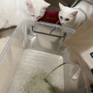 모너아리님이 올린 리뷰 사진 2