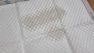 아베크 펫 와이드 프리미엄 중형 애견 강아지 배변 패드 54매 1팩 45g — 5점을 준 리뷰어가 2021년 7월 올린 사용 사진