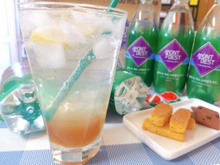 몽베스트 Montbest with Sparkling water Plain 20병 — 5점을 준 리뷰어가 2023년 2월 올린 사용 사진