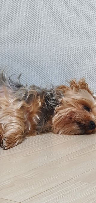 임방글님이 올린 리뷰 사진 3