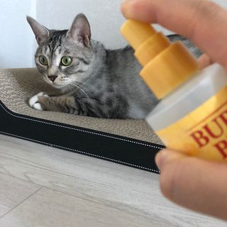 효니님이 올린 리뷰 사진 2