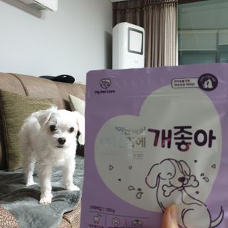 My Pet Care 천연단백질 치아건강에 개좋아 — 5점을 준 리뷰어가 2021년 1월 올린 사용 사진
