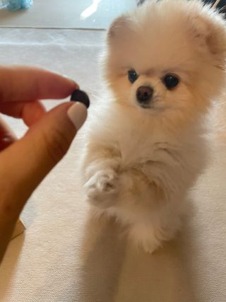 민정님이 올린 리뷰 사진 2
