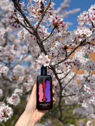 라쿰 서울위스키 헤어퍼퓸 (헤어에센스/오일) 100ml — 5점을 준 리뷰어가 2023년 4월 올린 사용 사진