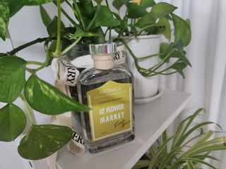 아로니카 센티드 디퓨저 110ml + 비즈방향제 200g SET — 5점을 준 리뷰어가 2023년 5월 올린 사용 사진
