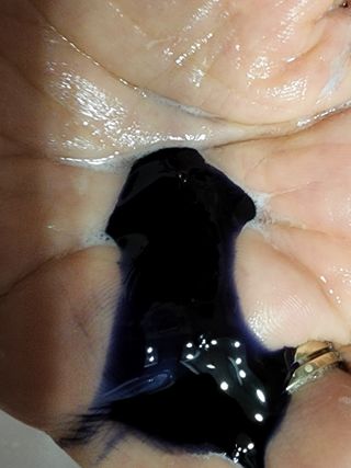 아자아자화이팅님이 올린 리뷰 사진 1