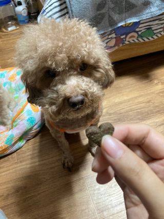 민트초코님이 올린 리뷰 사진 3