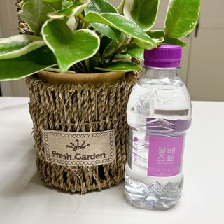 몽베스트 [MONTBEST] 330mL 20병 — 5점을 준 리뷰어가 2021년 10월 올린 사용 사진