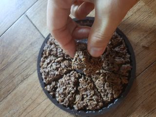 NISSIN 닛신 크리스피 초코 — 5점을 준 리뷰어가 2022년 12월 올린 사용 사진
