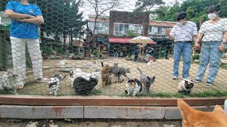 0.8L 마케팅팀 나만의 슬기로운 공팔추천생활 — 5점을 준 리뷰어가 2021년 6월 올린 사용 사진