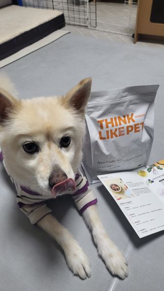 씽크라이크펫 큐브생식 1kg — 4.5점을 준 리뷰어가 2022년 11월 올린 사용 사진