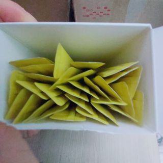 목 넘김이 편한 곡물발효효소 웰테므 효소라인 — 5점을 준 리뷰어가 2023년 2월 올린 사용 사진
