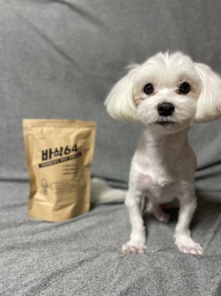 [보헤리] 국내산 강아지 육포간식 바삭 64 2종 — 5점을 준 리뷰어가 2022년 4월 올린 사용 사진