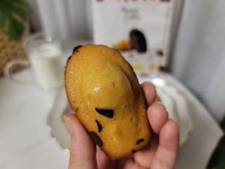 [메종콜리브리] 프랑스 마들렌 메종콜리브리 초콜릿 마들렌 2팩 — 5점을 준 리뷰어가 2021년 9월 올린 사용 사진