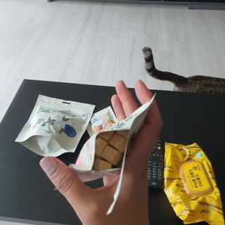 [펫시밀] 원물그대로 영양듬뿍 진공동결건조 치킨텐더100g, 열빙어트릿100g 강아지 고양이 간식 — 5점을 준 리뷰어가 2023년 5월 올린 사용 사진
