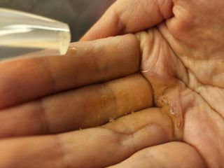 빅그린 안티 헤어로스 탈모 시카 바이옴 샴푸 500ml (중건성두피용) — 5점을 준 리뷰어가 2022년 7월 올린 사용 사진