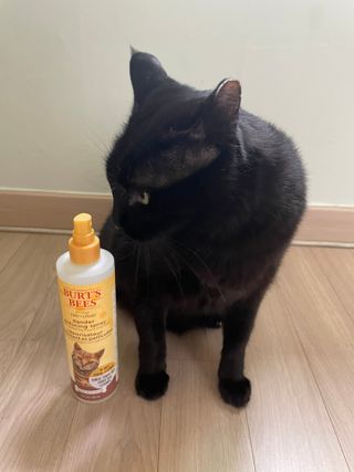 진영홍님이 올린 리뷰 사진 2