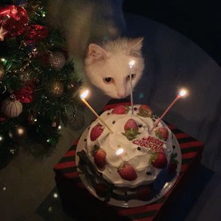 상상e상 아델라 LPM 원형 접이식테이블 — 5점을 준 리뷰어가 2021년 12월 올린 사용 사진