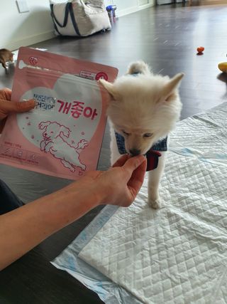 gabin730님이 올린 리뷰 사진 2
