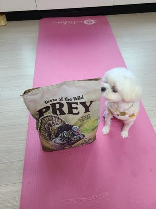 hosu.1230님이 올린 리뷰 사진 3
