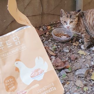 도그퓨어 푸드닭 강아지 닭고기 통살 애견간식 오리지널/차전자피/초록입홍합 — 5점을 준 리뷰어가 2021년 11월 올린 사용 사진