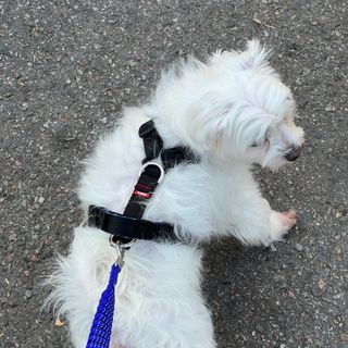 뽀히님이 올린 리뷰 사진 3