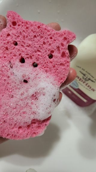 카프리나 프레쉬 산양밀크 어메이징 바디워시 500ml (오리지널향) — 5점을 준 리뷰어가 2023년 5월 올린 사용 사진