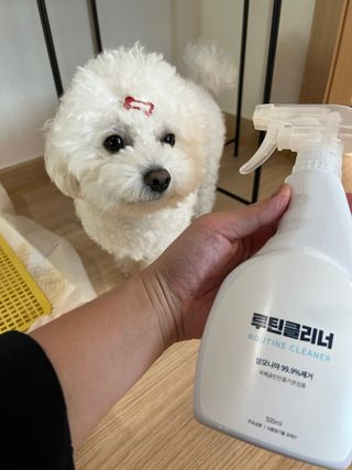 비니주니맘 :D님이 올린 리뷰 사진 3