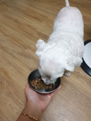 진진이님이 올린 리뷰 사진 2