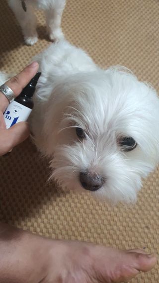 공팔리터님이 올린 리뷰 사진 4
