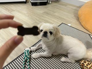 UZSU님이 올린 리뷰 사진 4