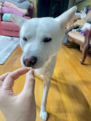Jenny님이 올린 리뷰 사진 2