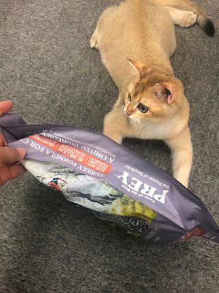 고고고님이 올린 리뷰 사진 2