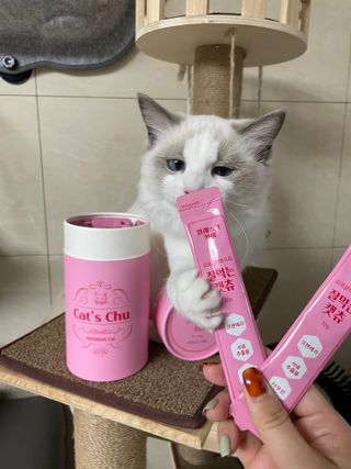 ccoyo님이 올린 리뷰 사진 2