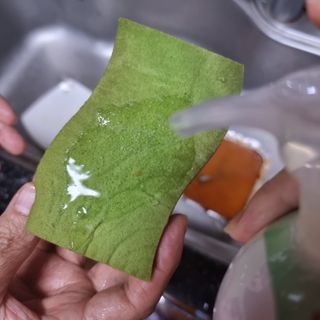 llast님이 올린 리뷰 사진 3