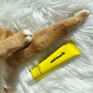 안젤라mj님이 올린 리뷰 사진 2