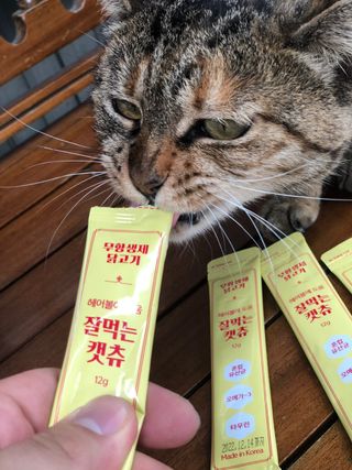 유영경님이 올린 리뷰 사진 3
