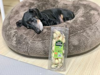 콩이누나님이 올린 리뷰 사진 2
