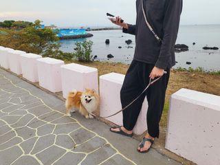 좋아님이 올린 리뷰 사진 3
