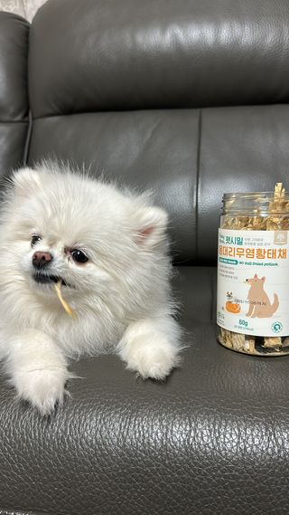 진님이 올린 리뷰 사진 2