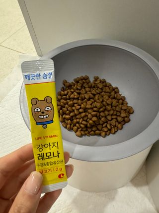 [레모나] 강아지 레모나 강아직 영양 간식 4종 택 1 — 5점을 준 리뷰어가 2023년 12월 올린 사용 사진