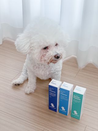 [댕모어 클리너 3종] 아이클리너 / 이어클리너 / 덴탈클리너 3종 세트 (120ml) — 5점을 준 리뷰어가 2023년 8월 올린 사용 사진