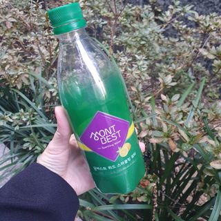 몽베스트 Montbest with Sparkling water Lemon OR Lime 20병(랜덤) — 5점을 준 리뷰어가 2021년 10월 올린 사용 사진