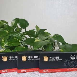 새롬바이오 리생 [미쾌변] 차전자피 식이섬유 건강기능식품 3팩 — 5점을 준 리뷰어가 2021년 7월 올린 사용 사진