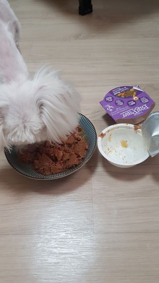 chloe님이 올린 리뷰 사진 3