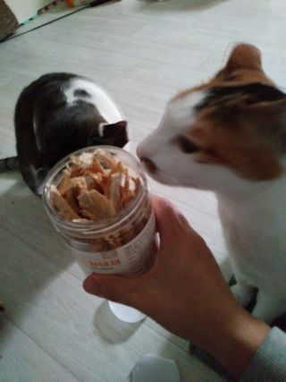 까꿍님이 올린 리뷰 사진 2